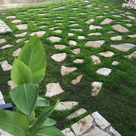 Green Silence - Vuk Podgorica Extérieur photo